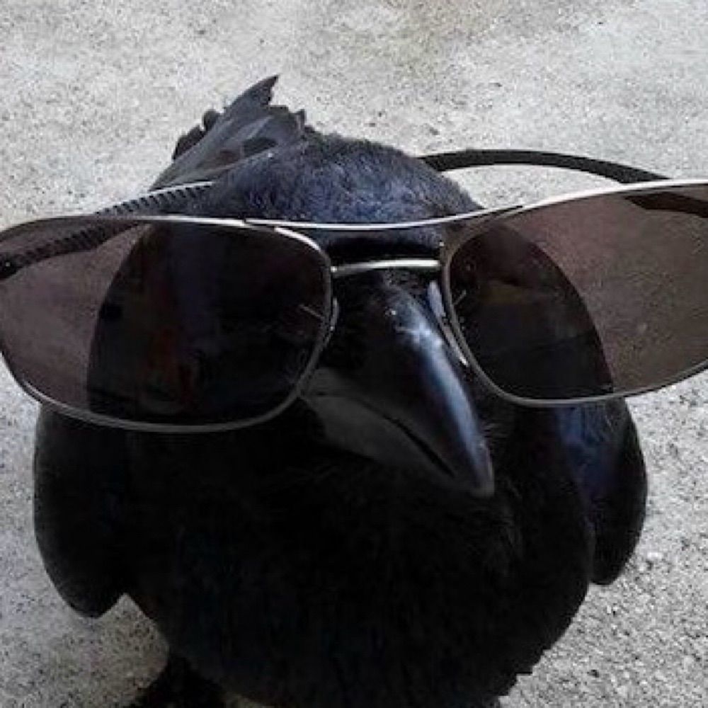 KROWVS