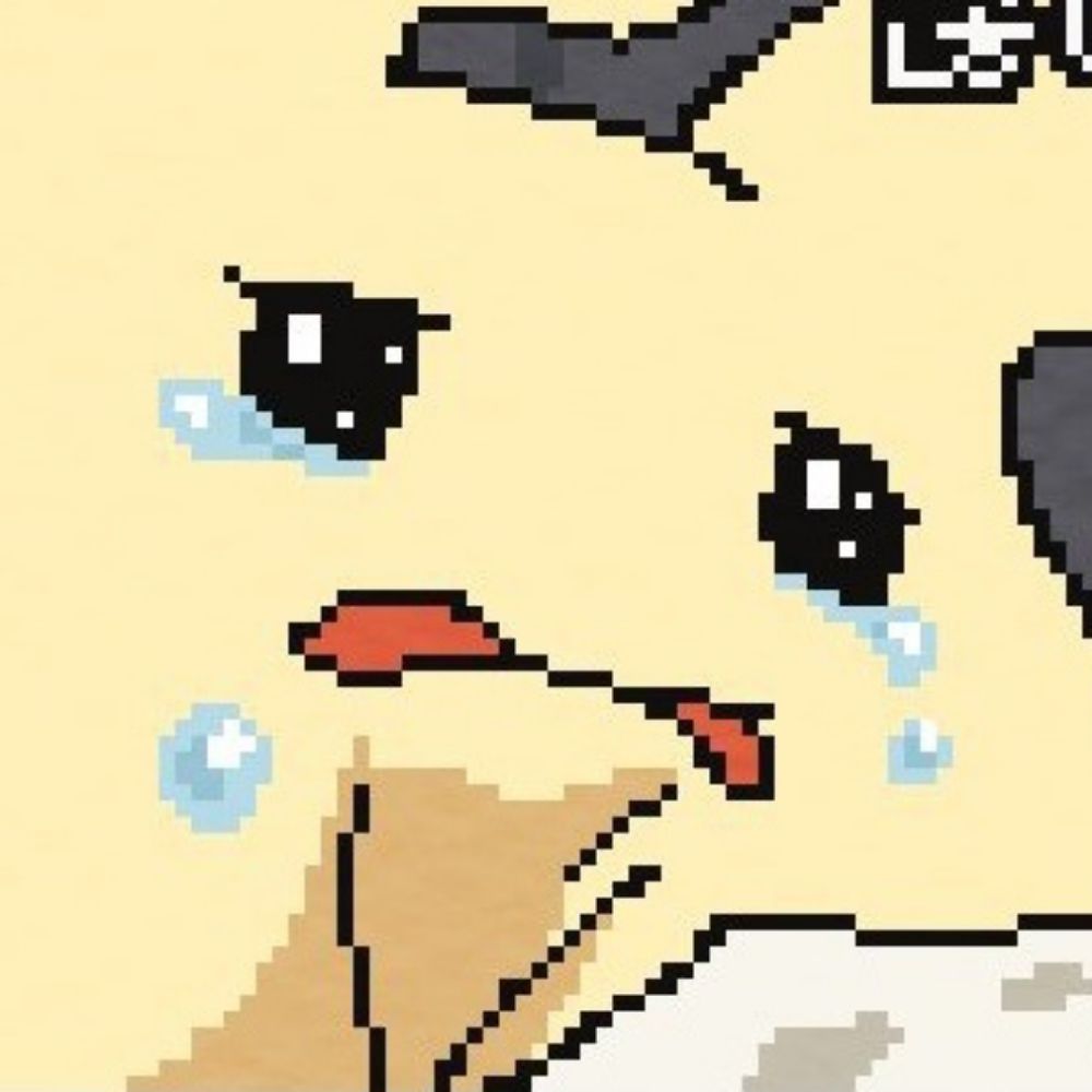 괴양이