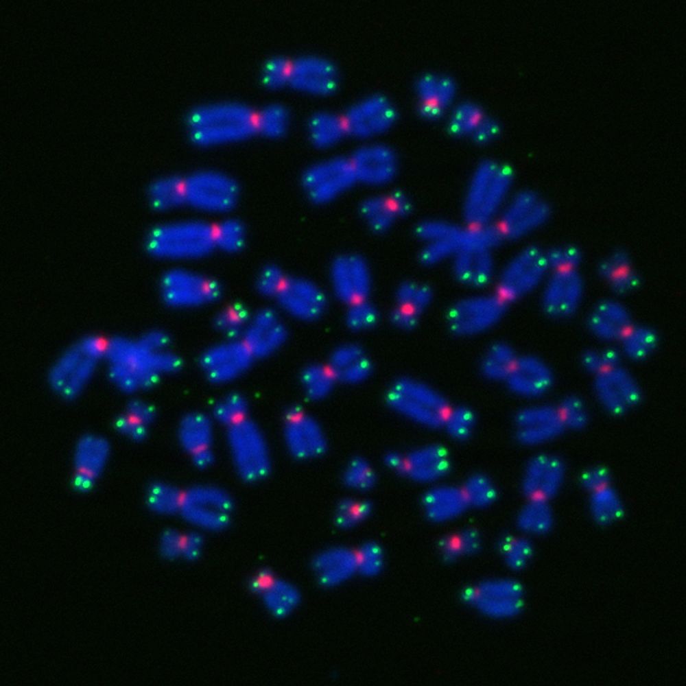 Karlseder Lab