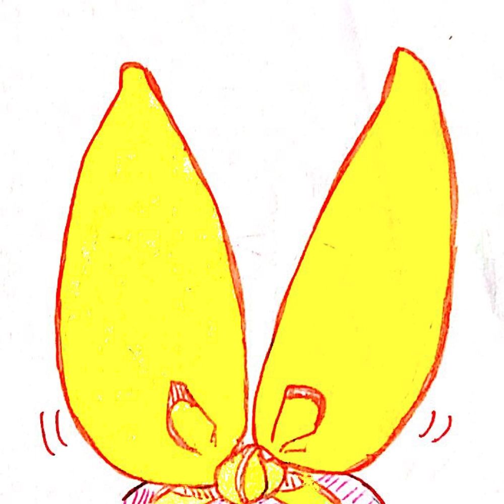 もめん