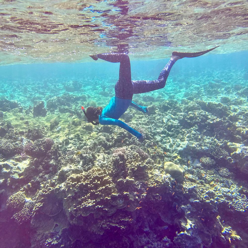 Adrienne M.S. Correa 🪸🦠🐡