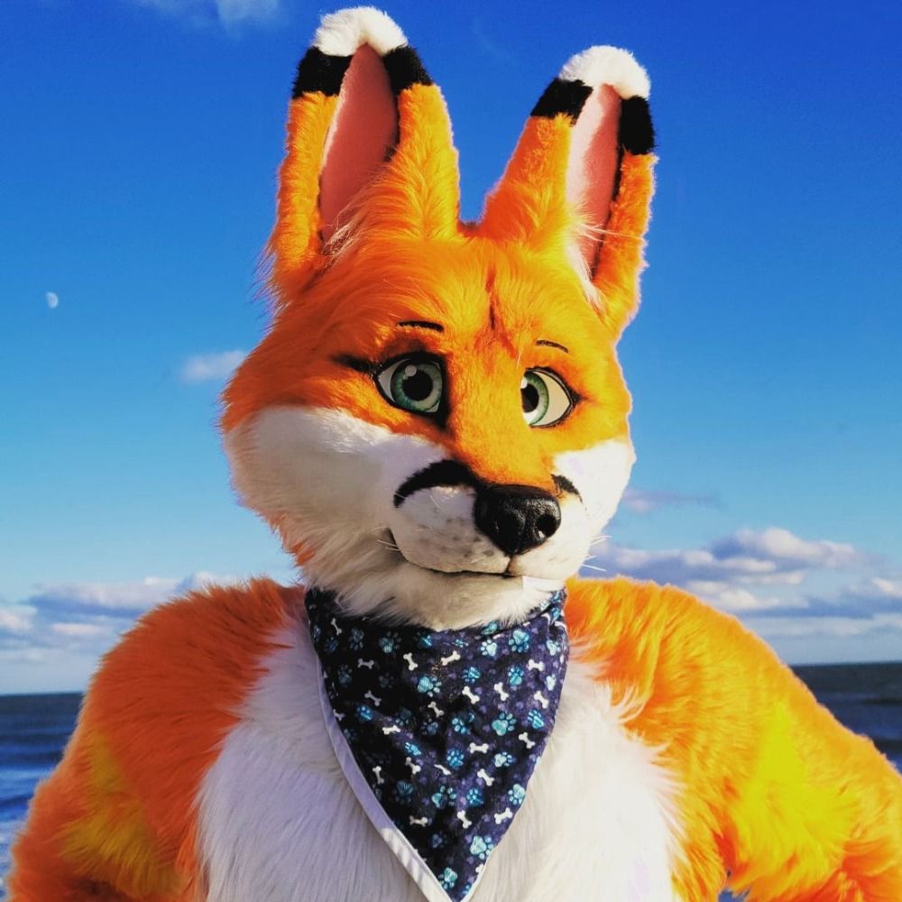 Doon The Fox