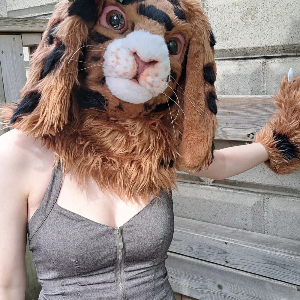 Cinna Bunni
