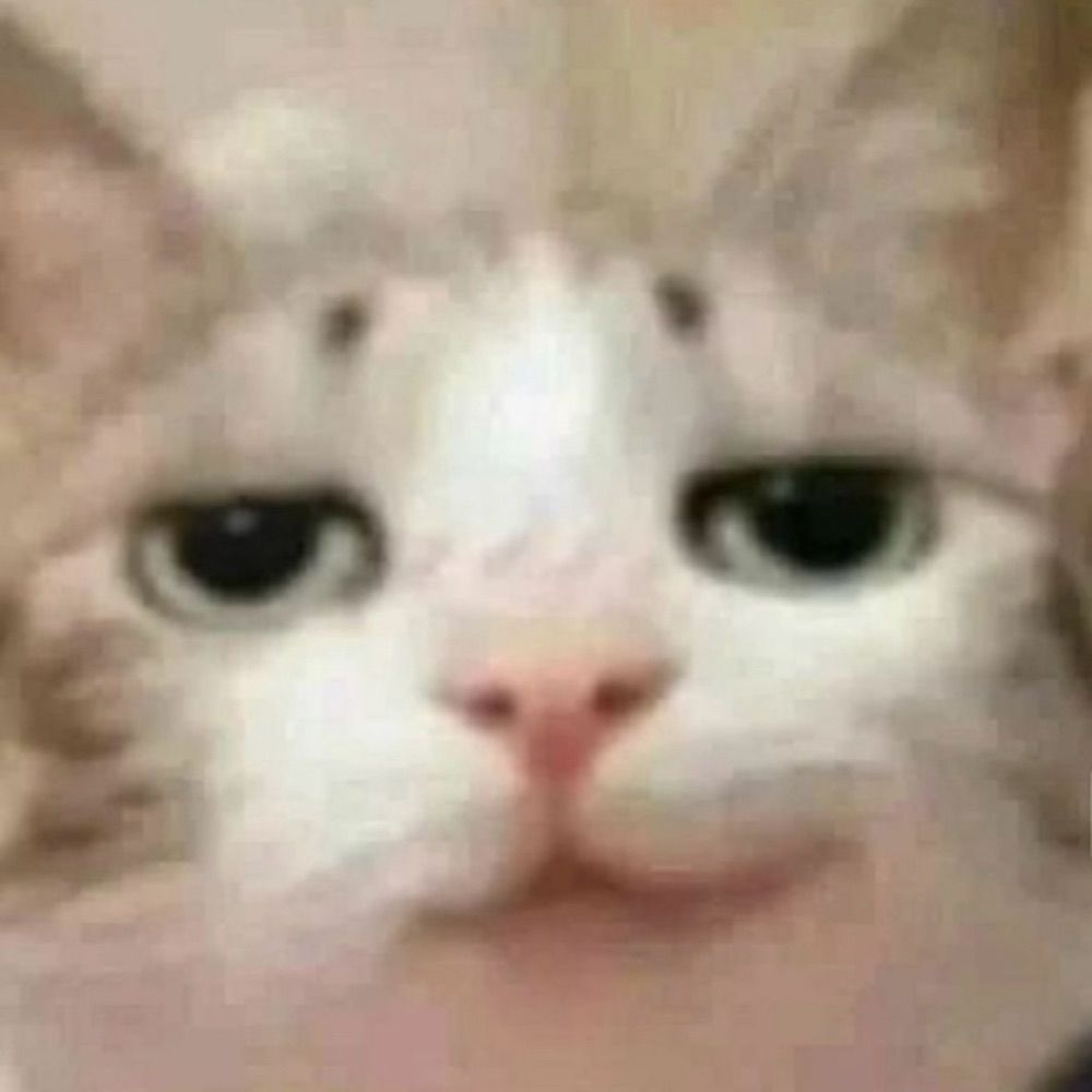 QwQy
