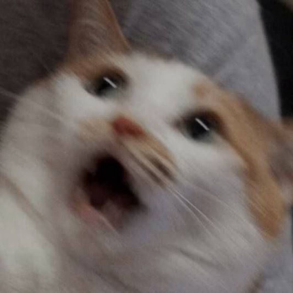 jujubs