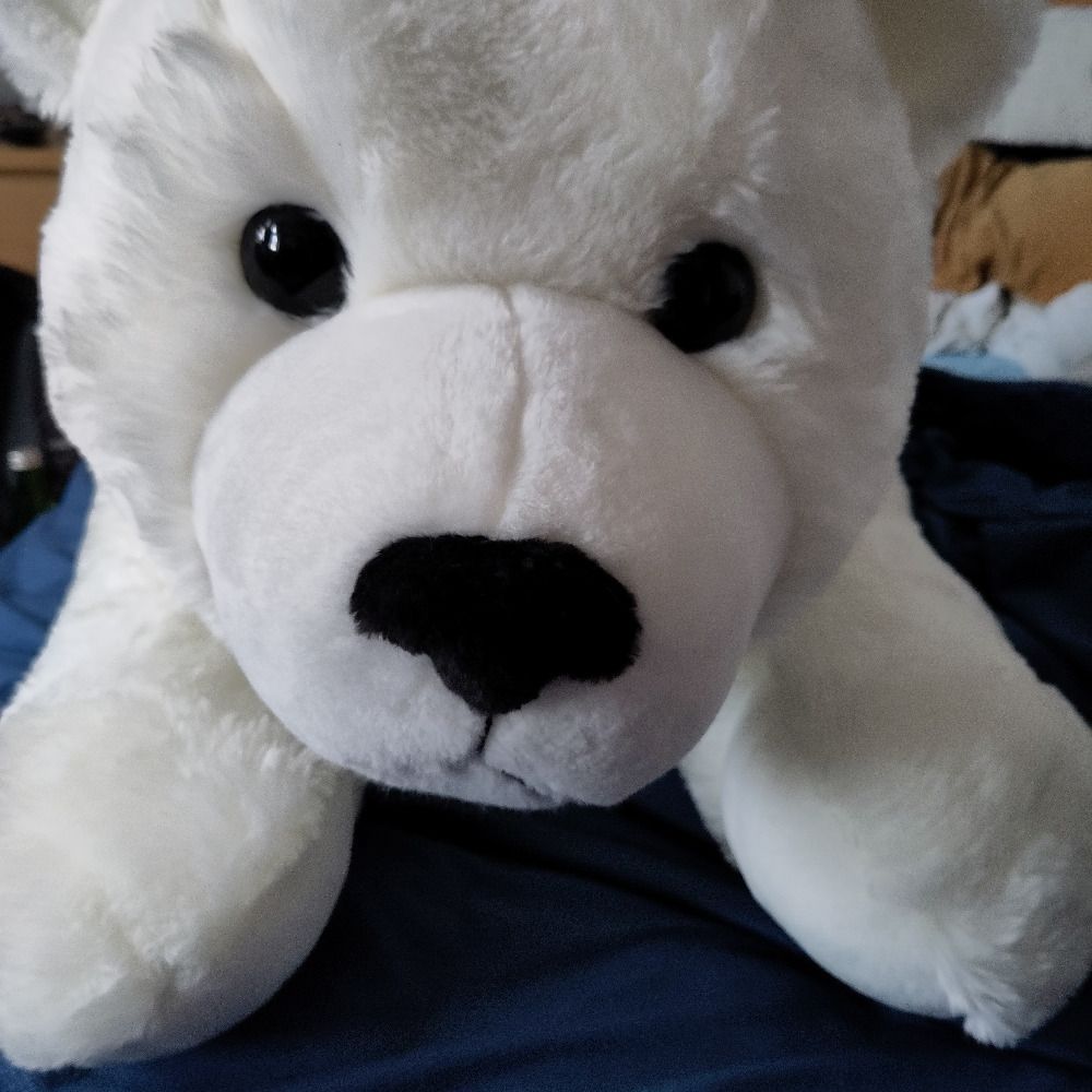 Eisbär 's avatar