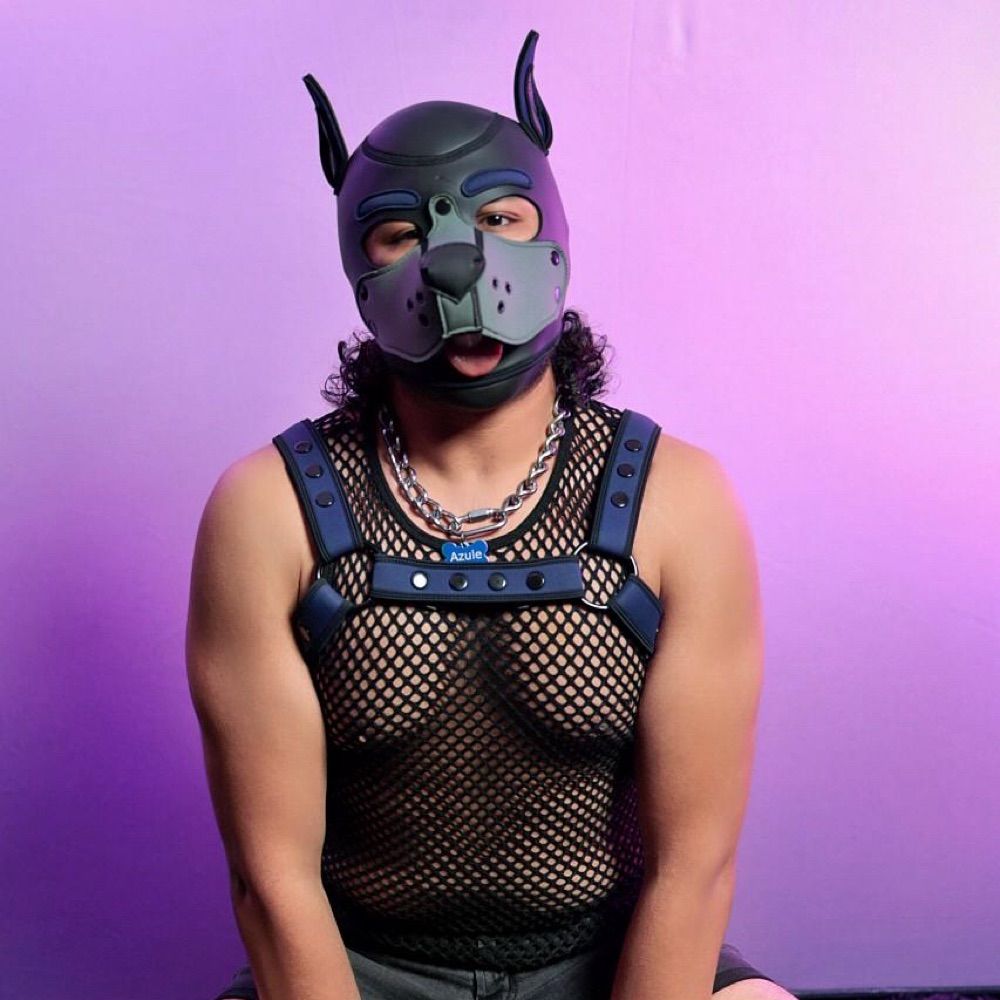 Puppy Azule 💙🩶🩵