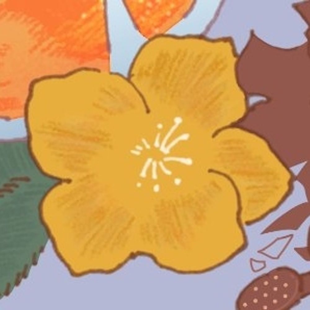 ルト