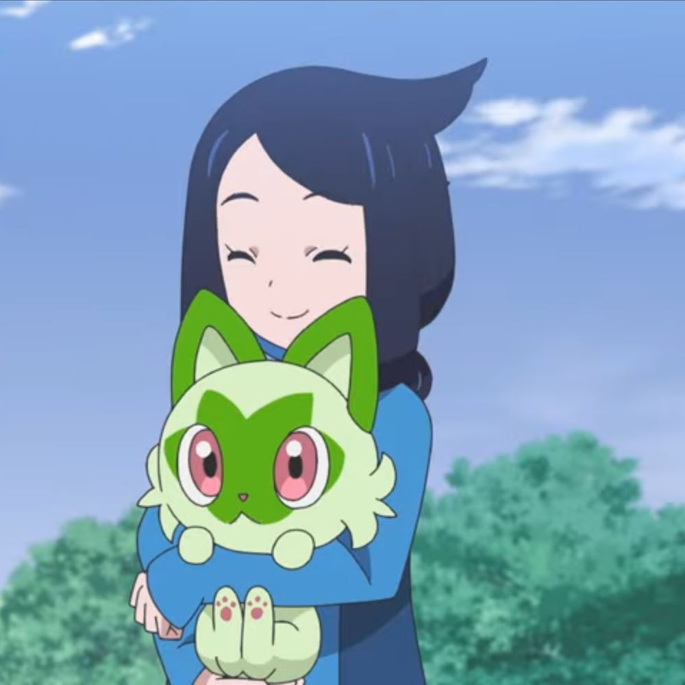 アニポケ好き