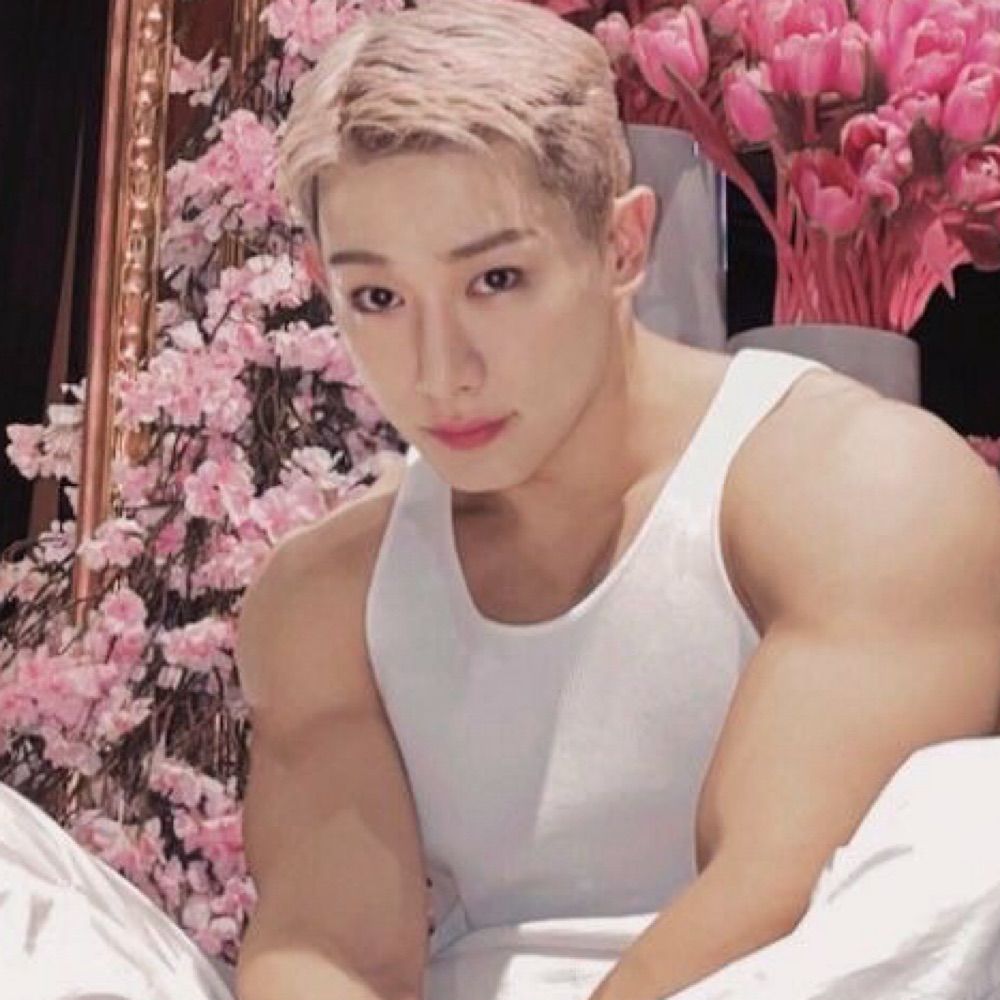WONHO MUSO DO VERAO