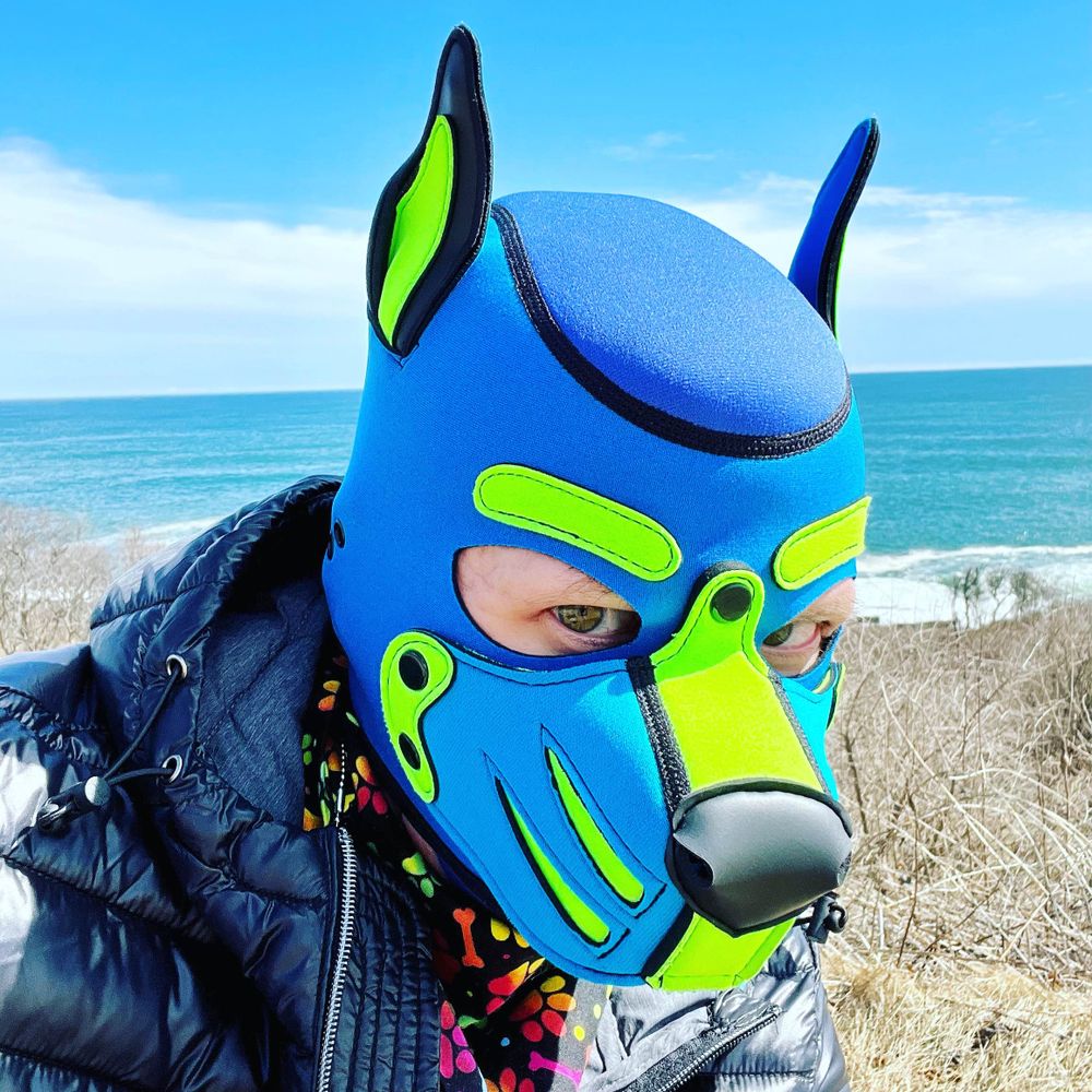 Beta Pup Pyro