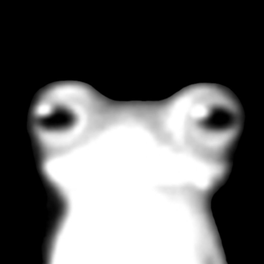 frog.