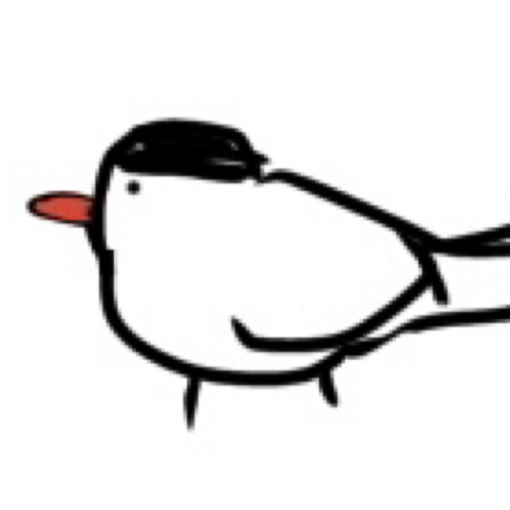 pimi
