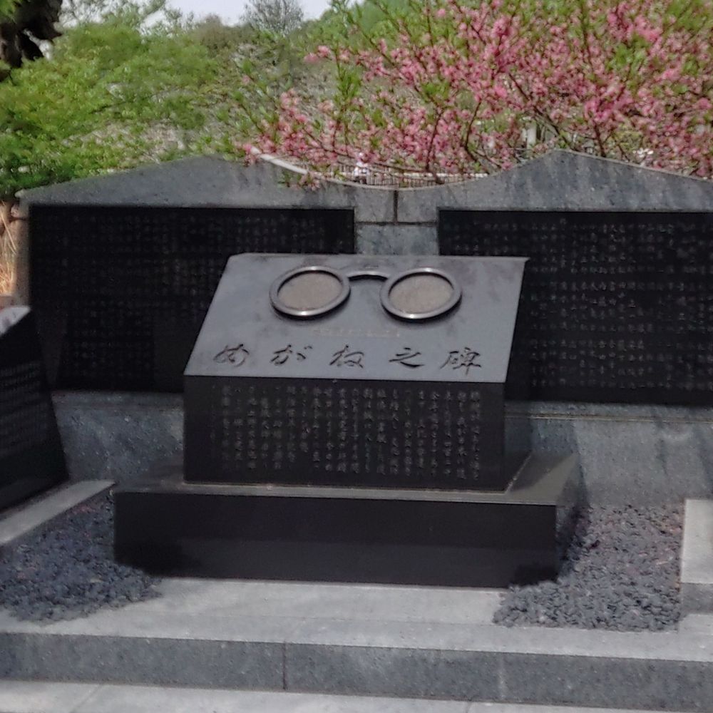 眼鏡丸