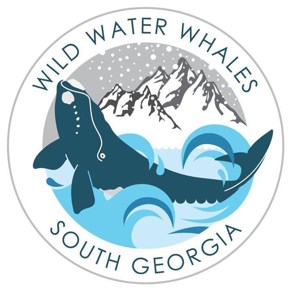 Wild Water Whales