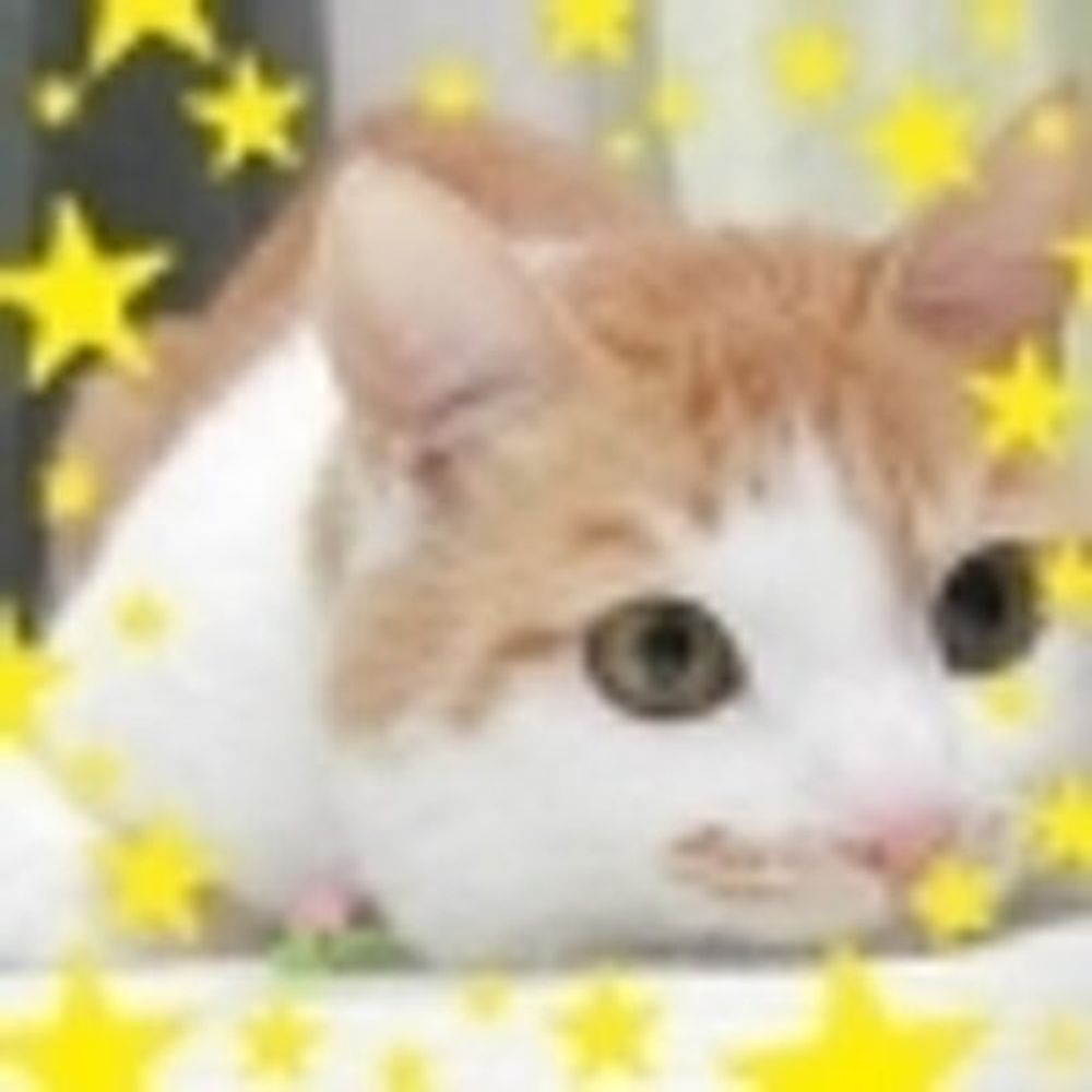 りおたん｡🐱 迷走中人生オールフリーですわー❗好多謝臺灣🇹🇼