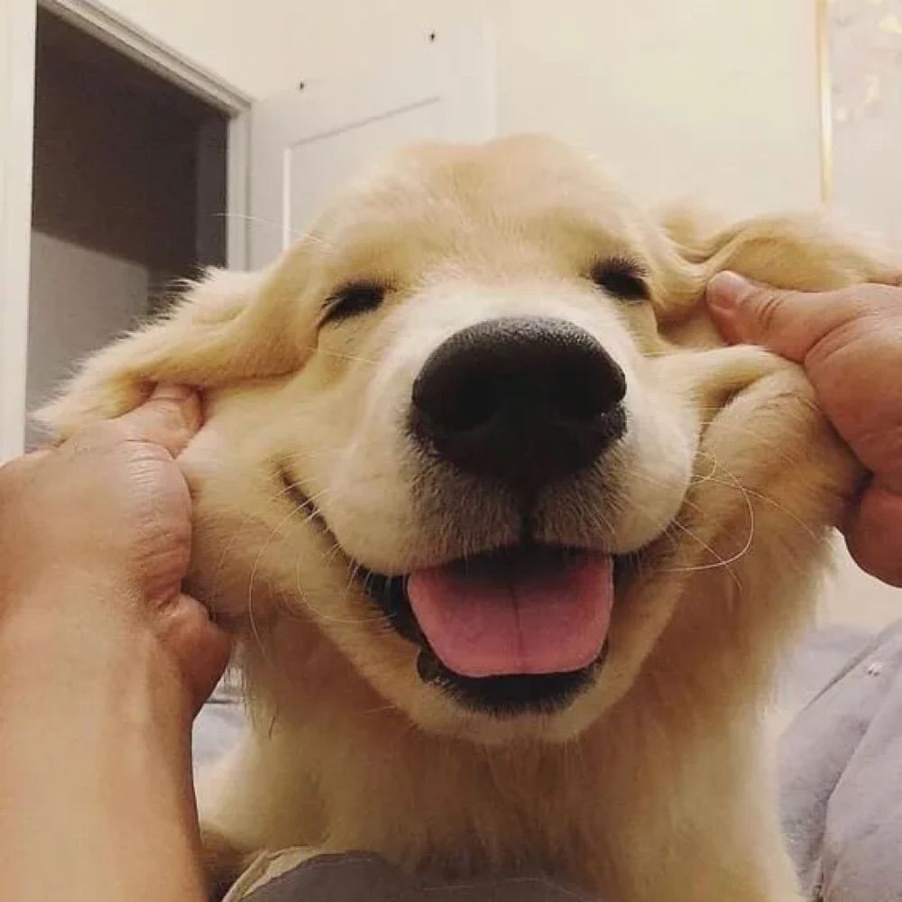 김 라 운