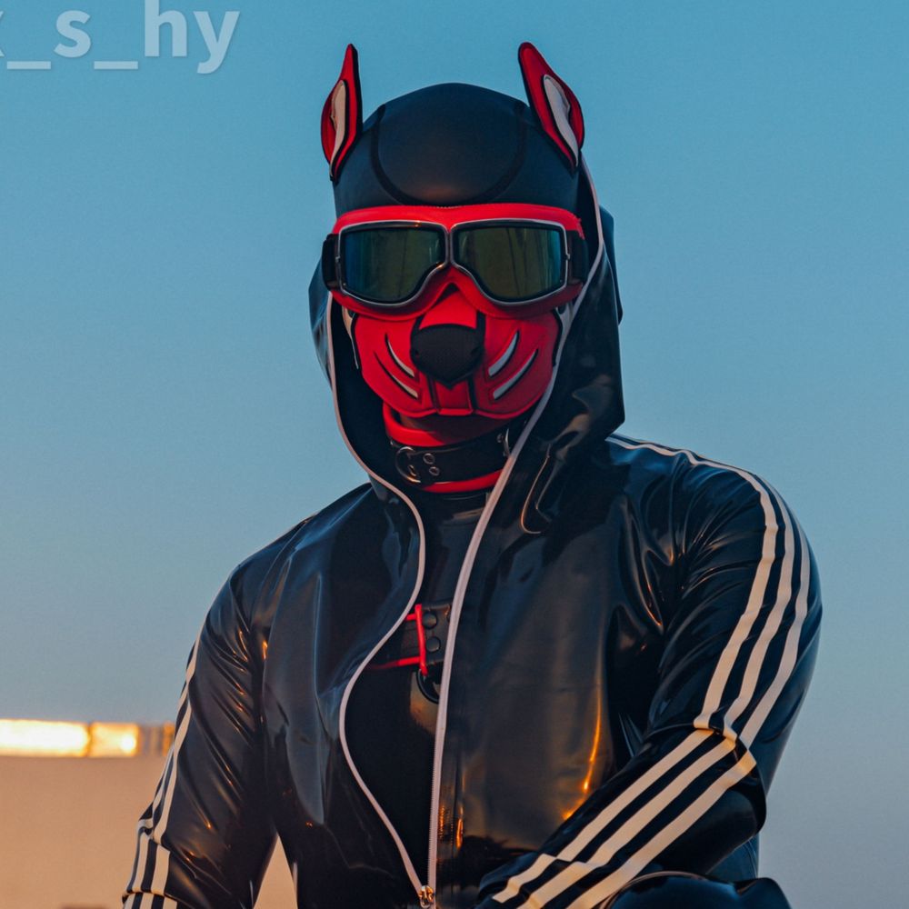 狐琊_fox