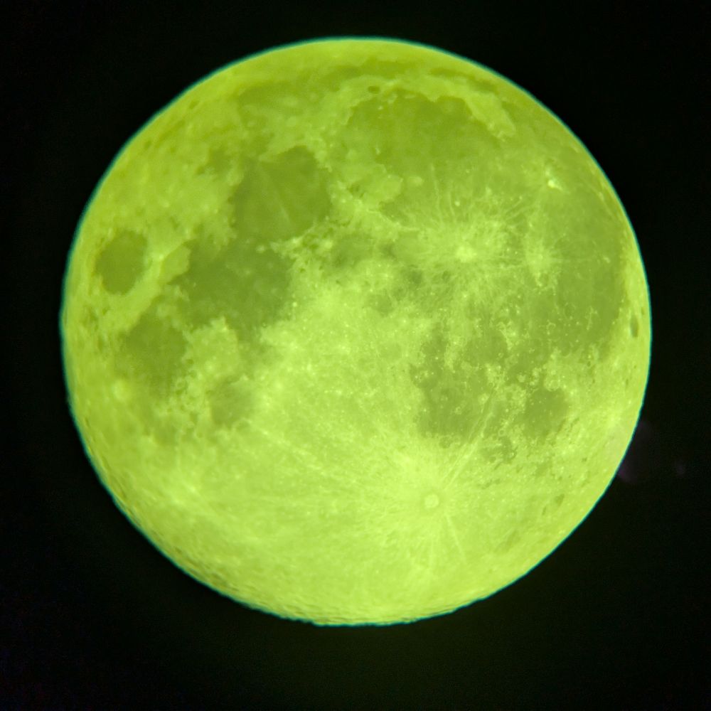 thickrobocop.bsky.social