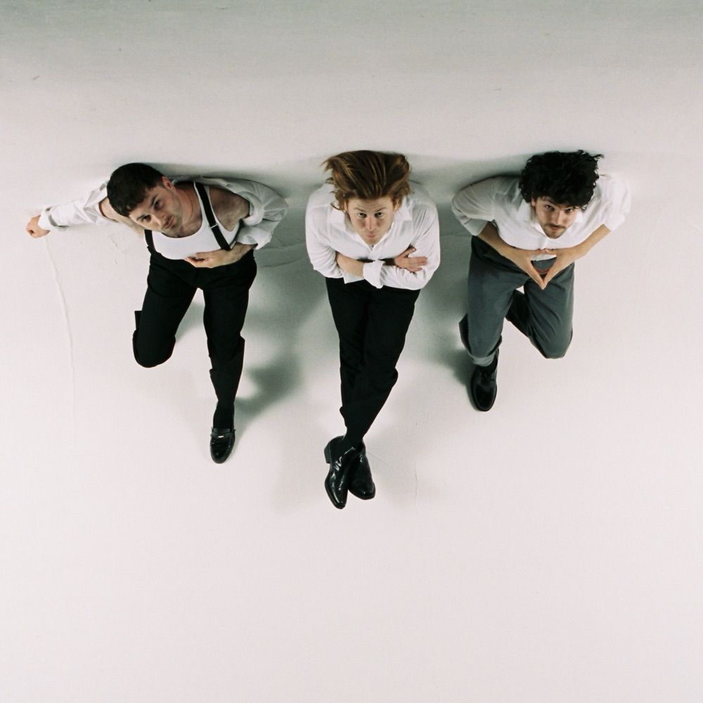 The Amazons