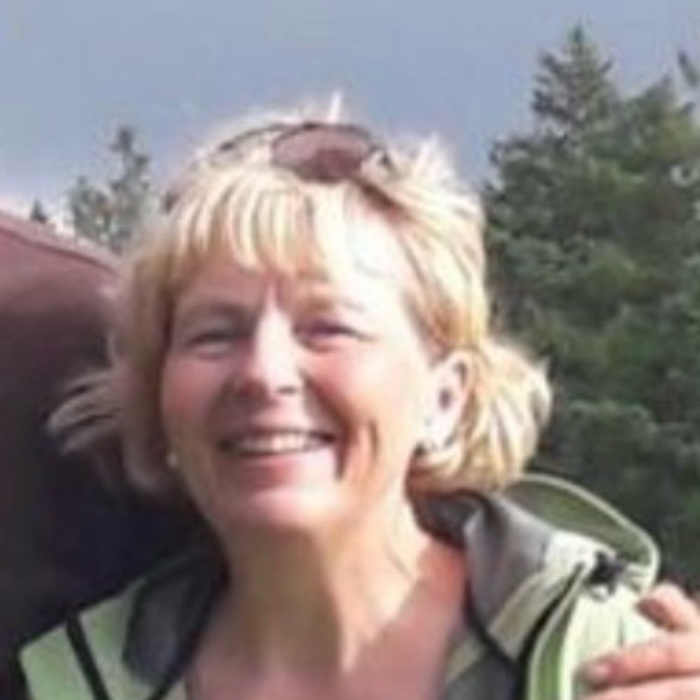 karinsvl