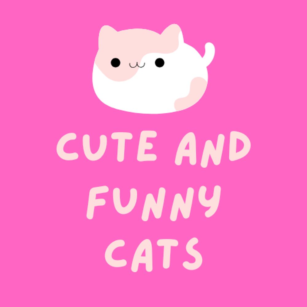 Cute and Funny Cats