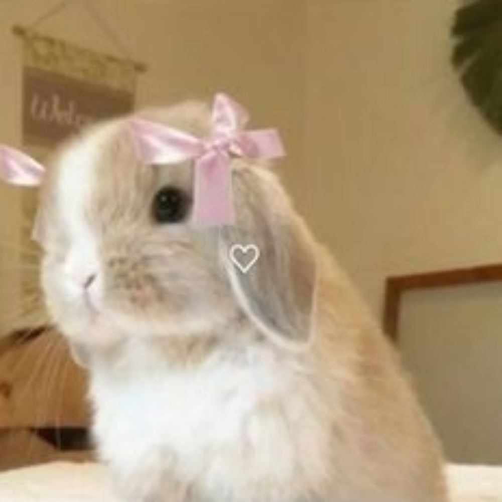 bunbun