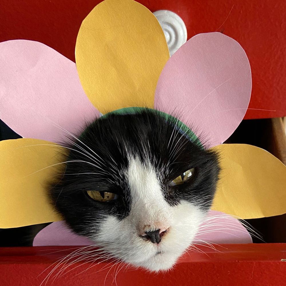 spudwaffle