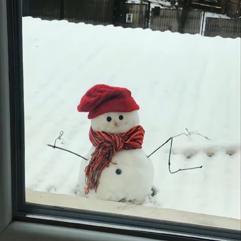 纓雪ຼꨄ洛葉໌⚜️