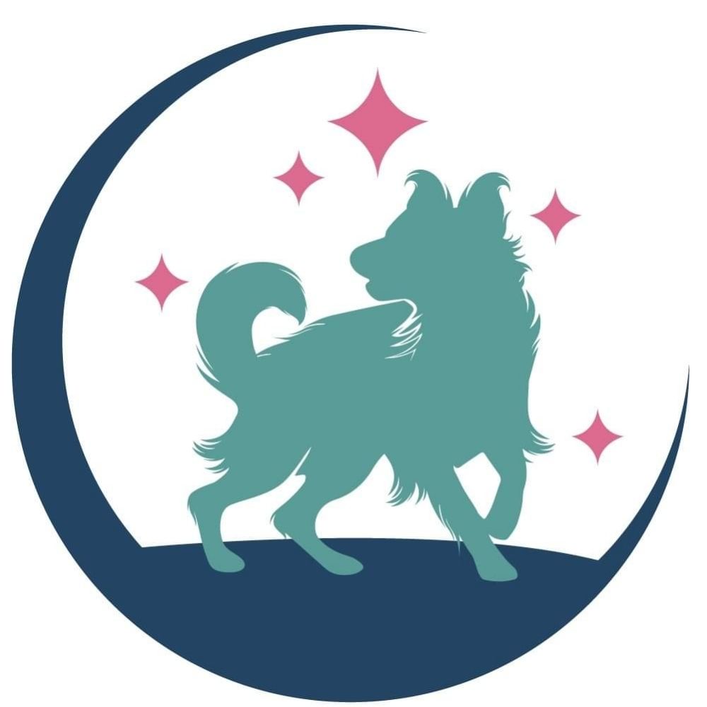 Wondrous Tails Dog Training