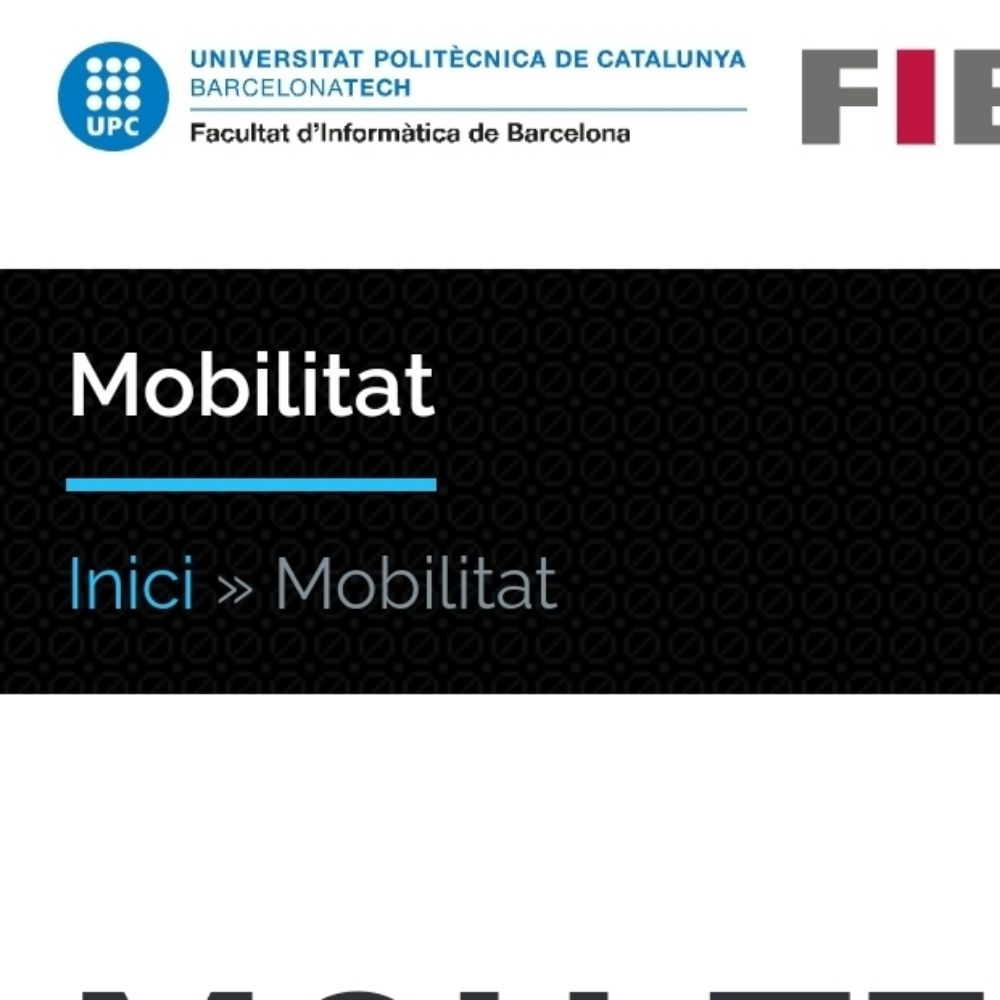 Vd Internacionals FIB UPC