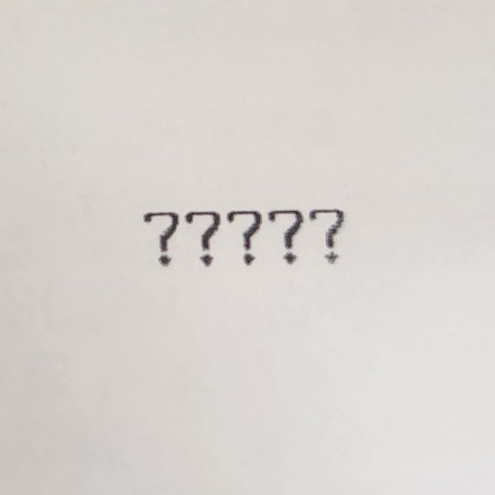 둘다