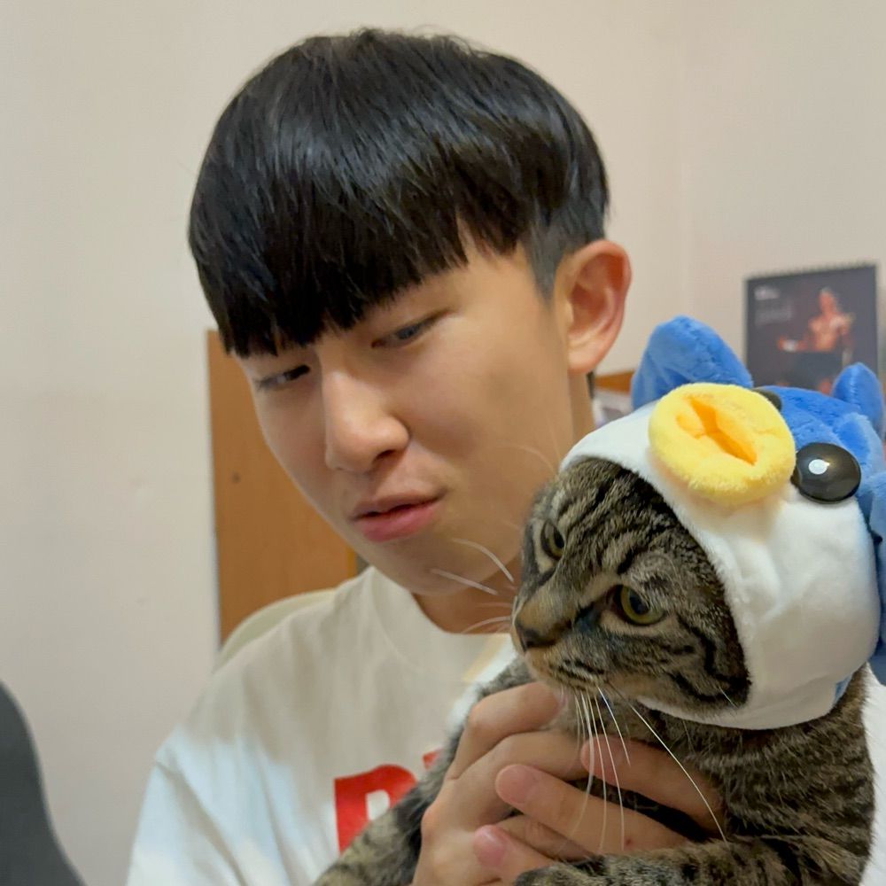 貓貓