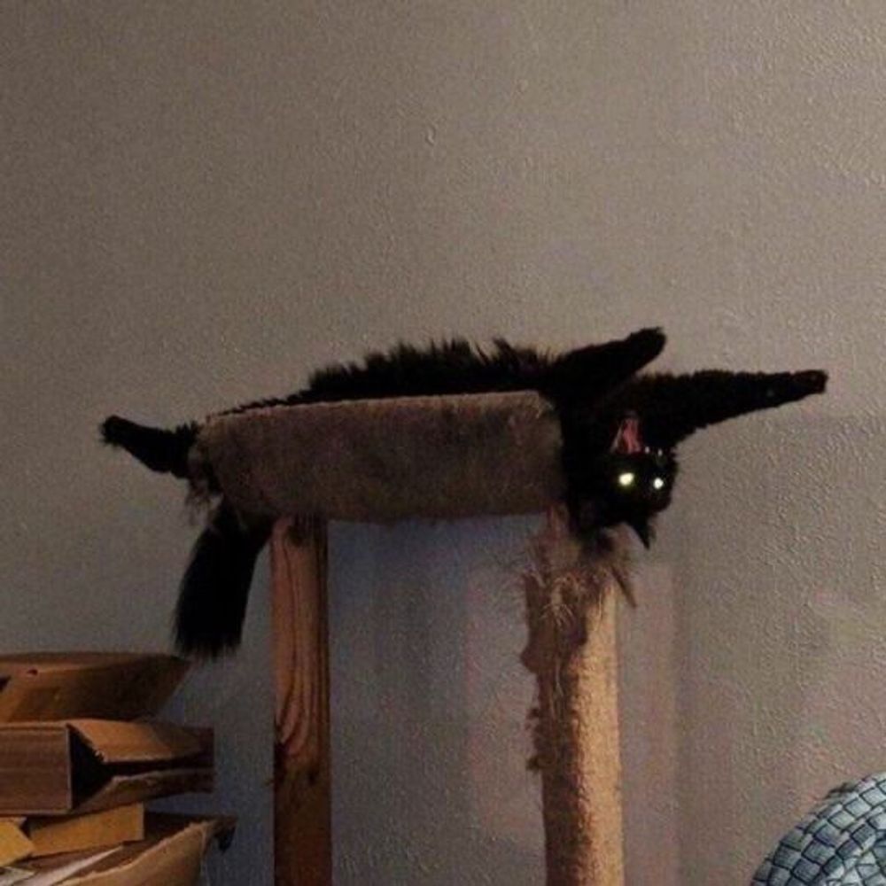 큰