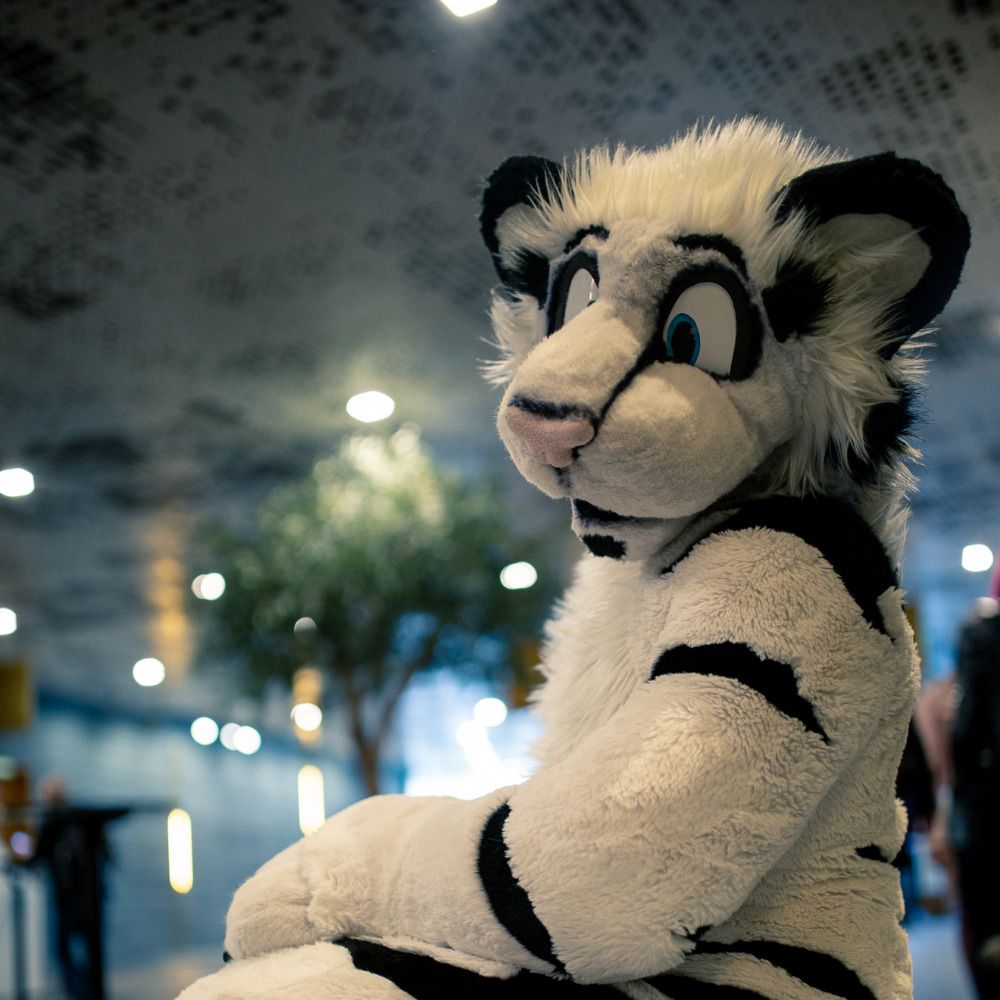 Kai Grrr