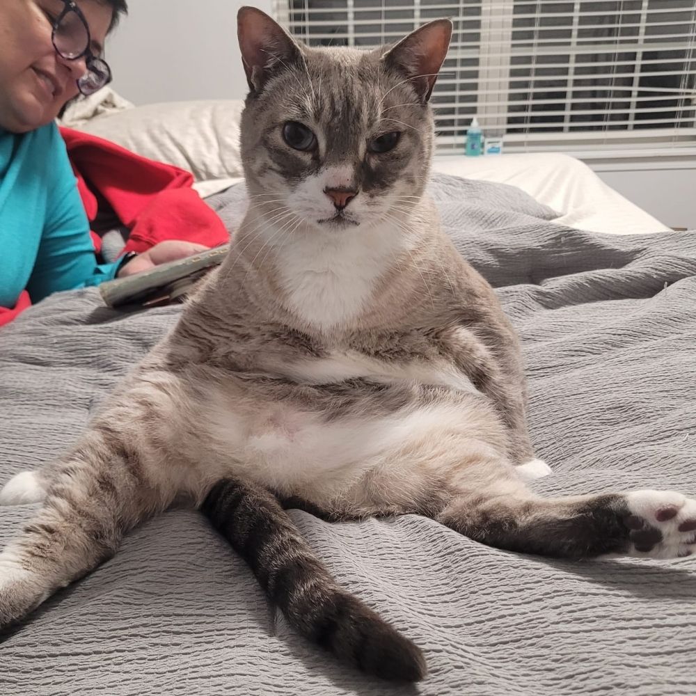 Joey "Jojo-Bean" Alejandro