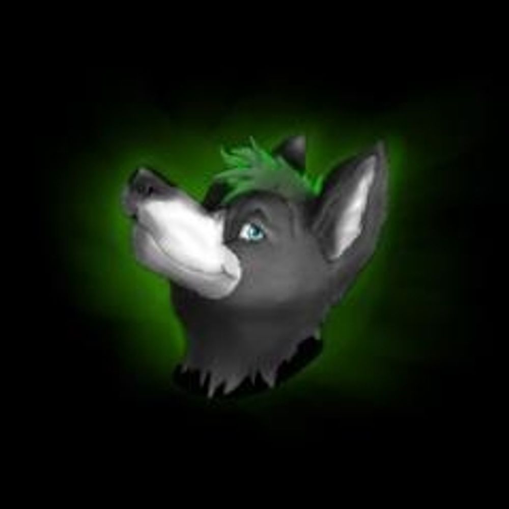Matt Husky