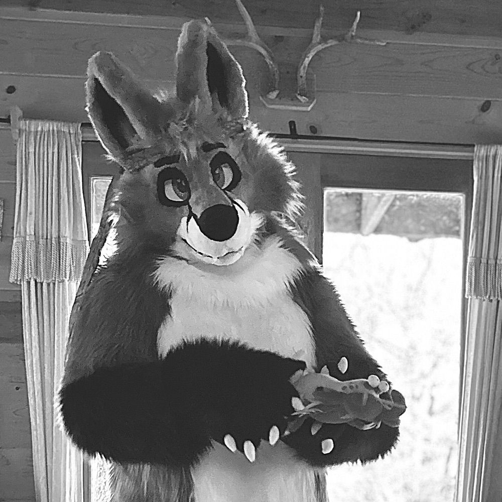 pseudotsugafox.