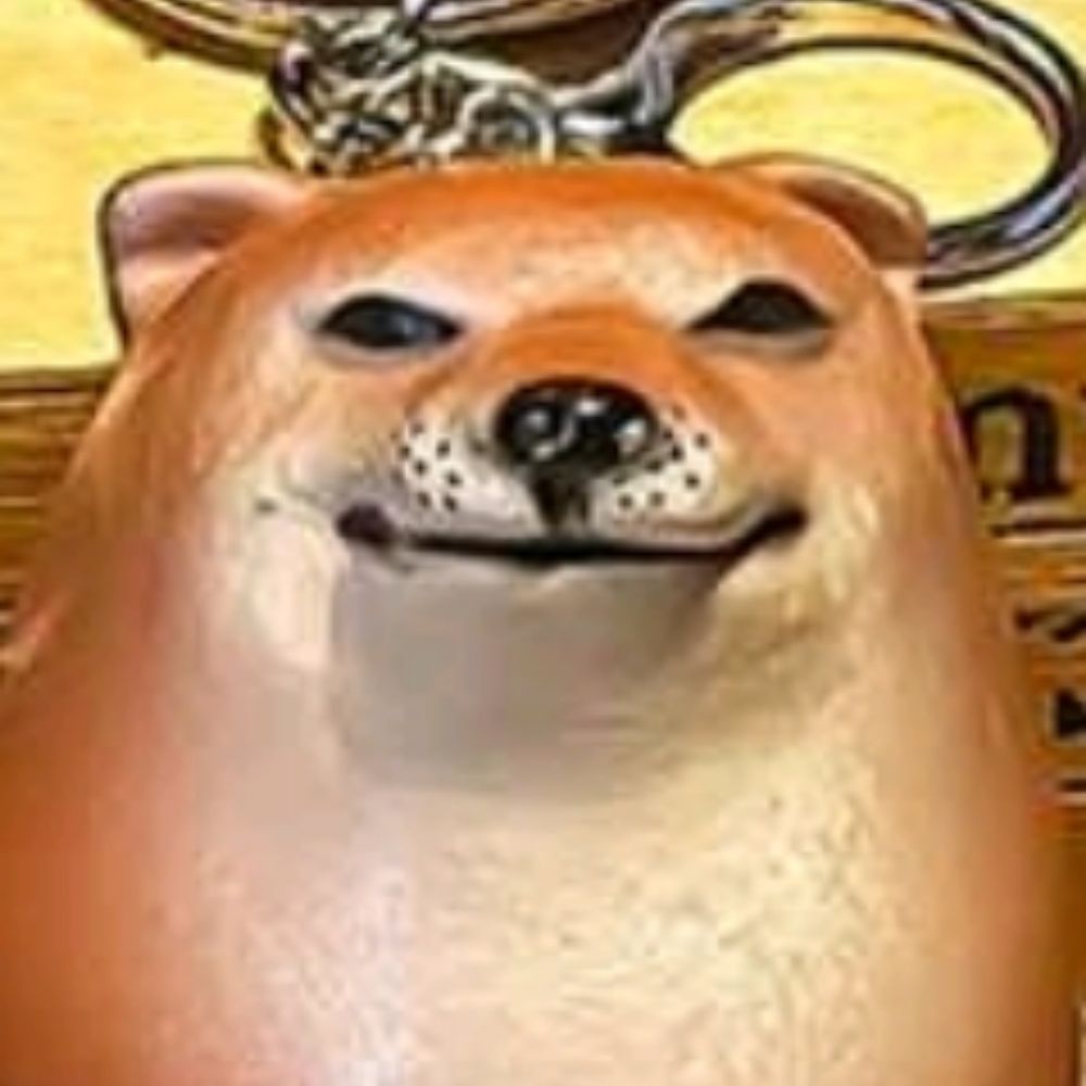 わかめごはん
