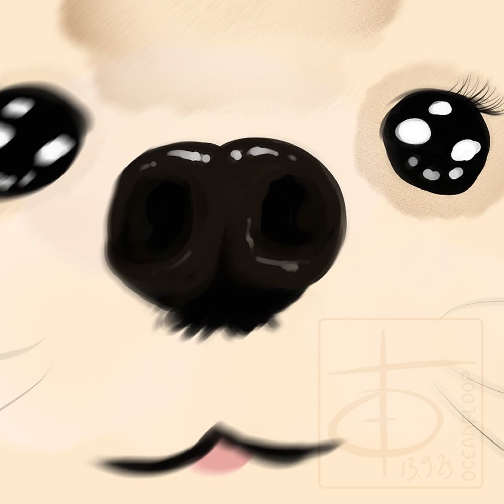 오샨