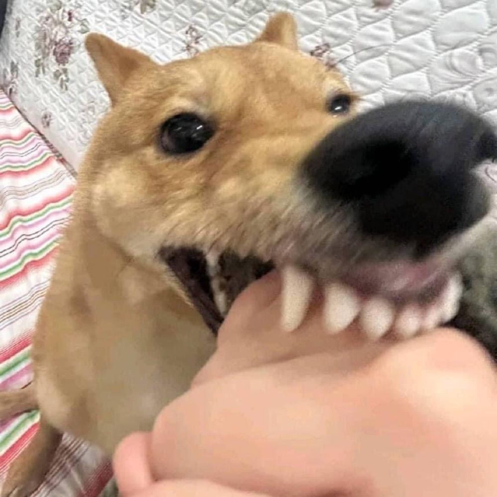 Barking and Barking