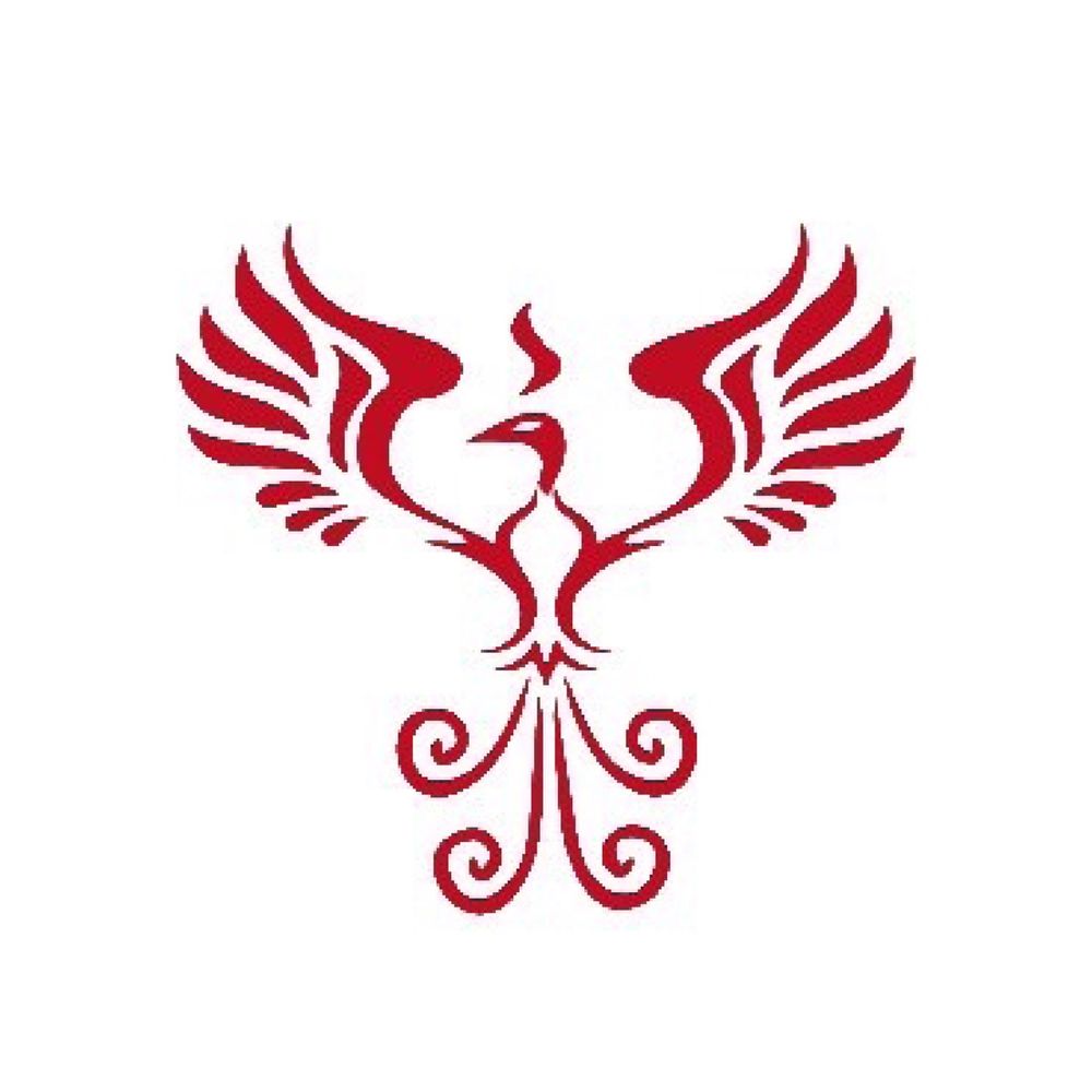 Phoenix Group Asia