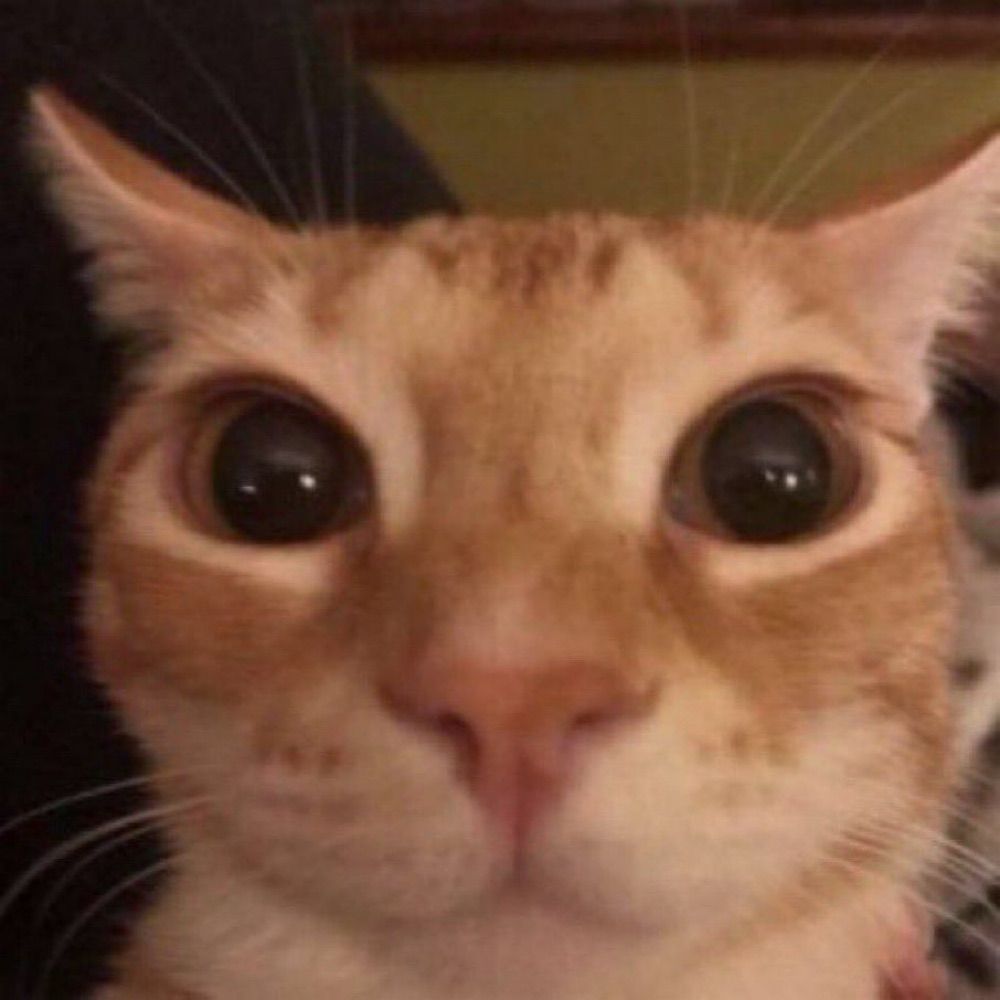 Jo