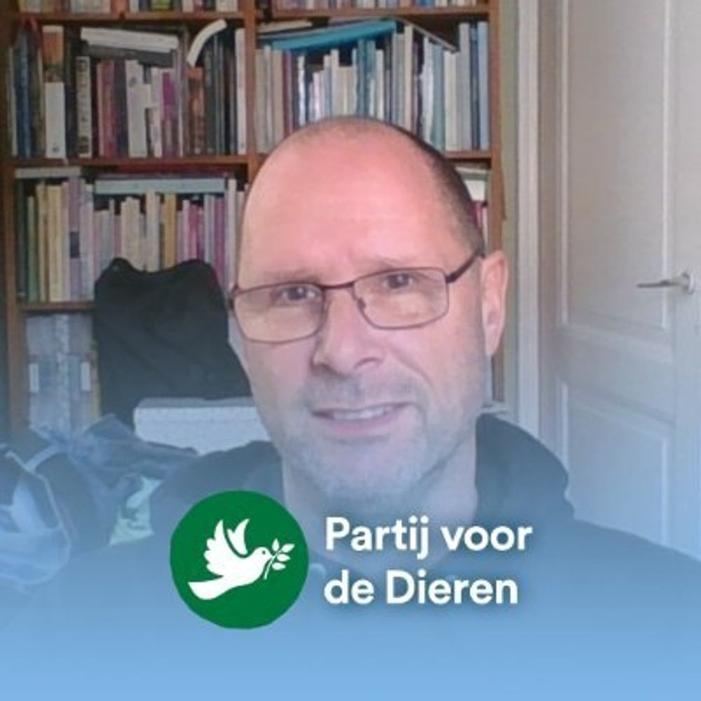 Bart Roozendaal 's avatar