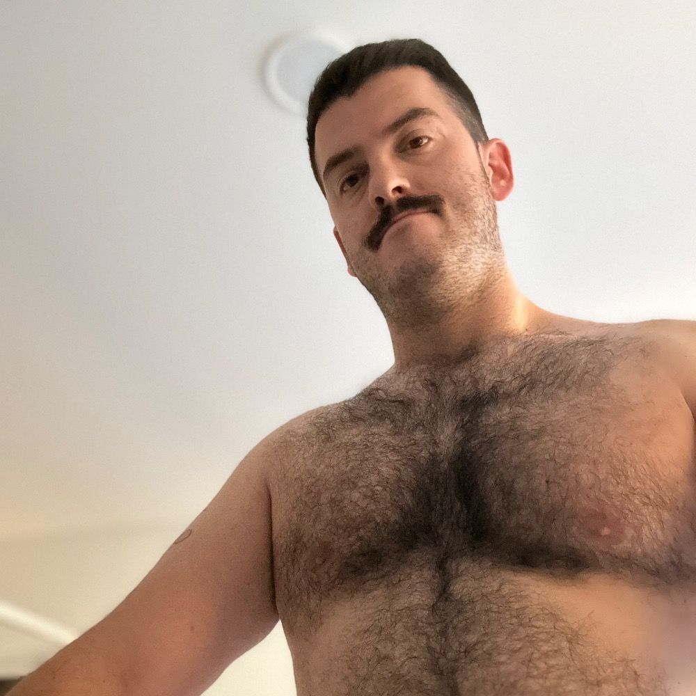 Zesty Cub