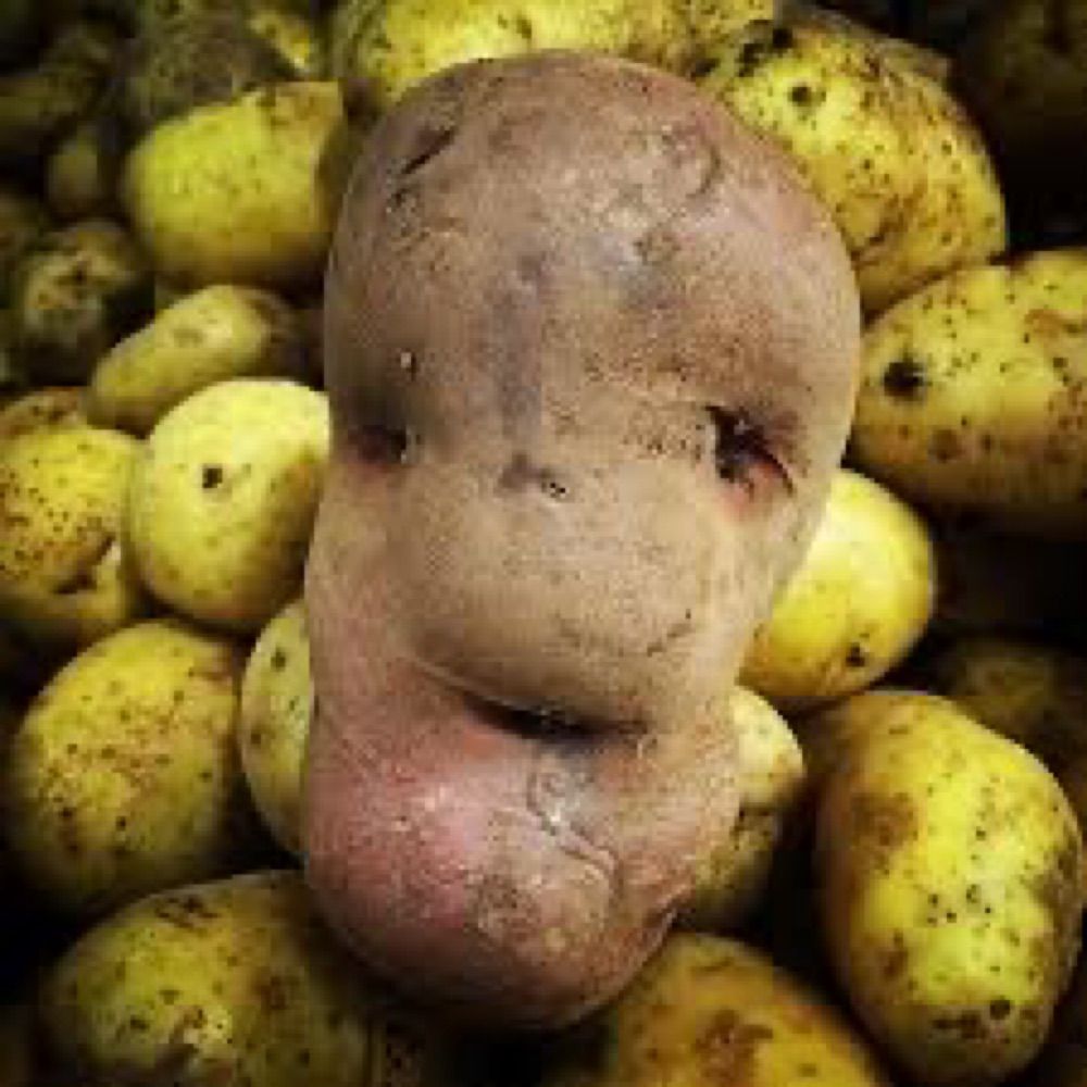 Mr. Potatohead’s Long Lost Lover