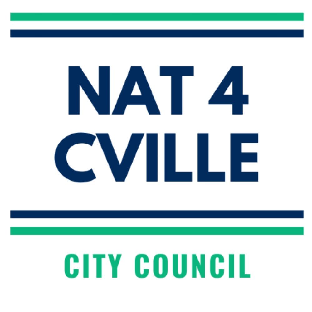 Natalie Oschrin, Charlottesville City Council