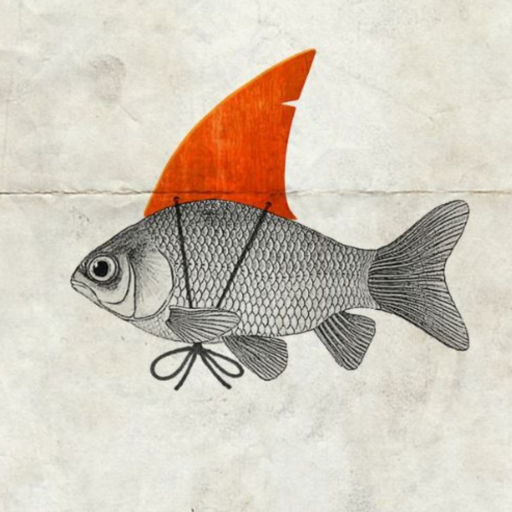 Cort Smith 