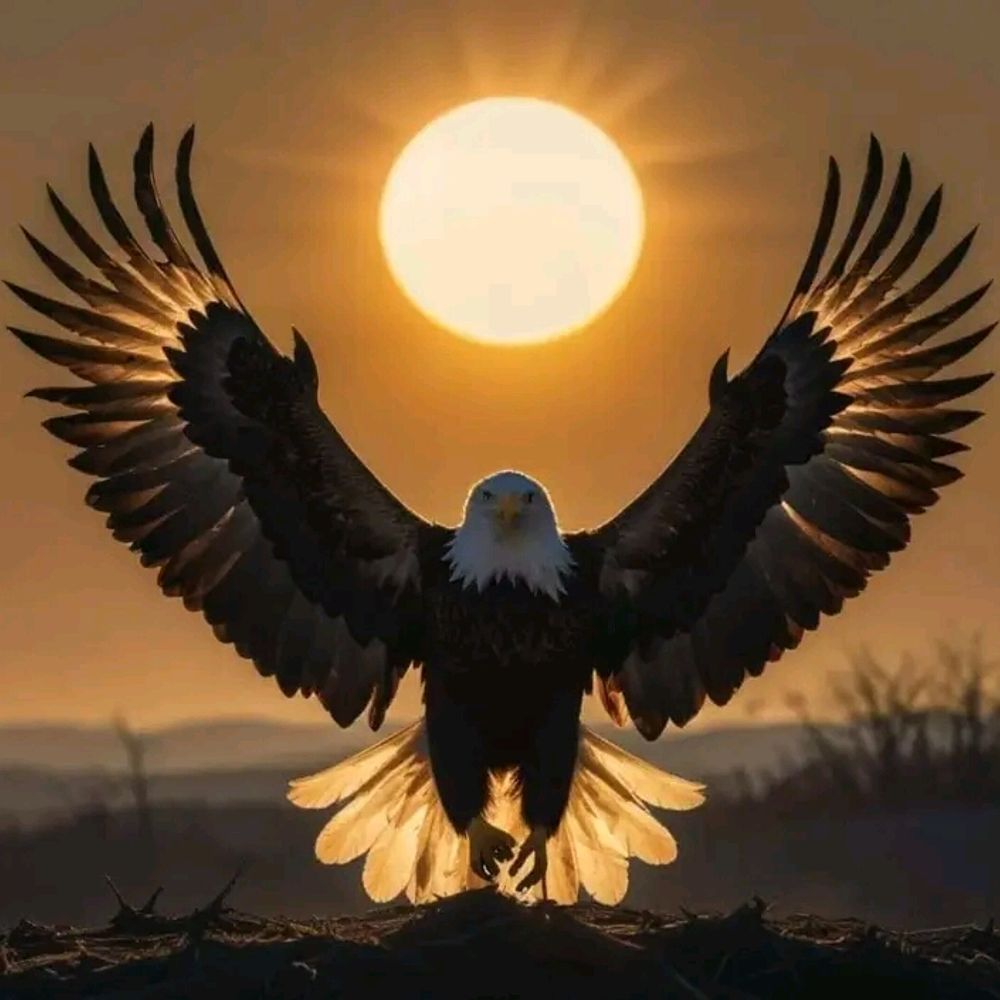 💞یار_من 💞