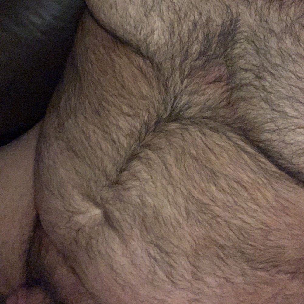 Hairy Bear 🐻